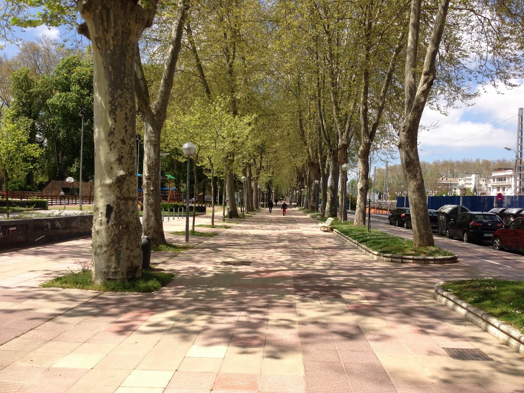 Paseo de la Universidad. Vitoria-Gasteiz. País Vasco. Spain. by María Fernando