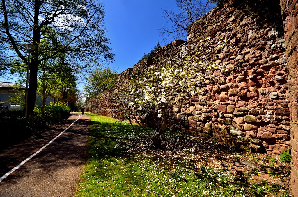 The City Wall by Mike Hartland