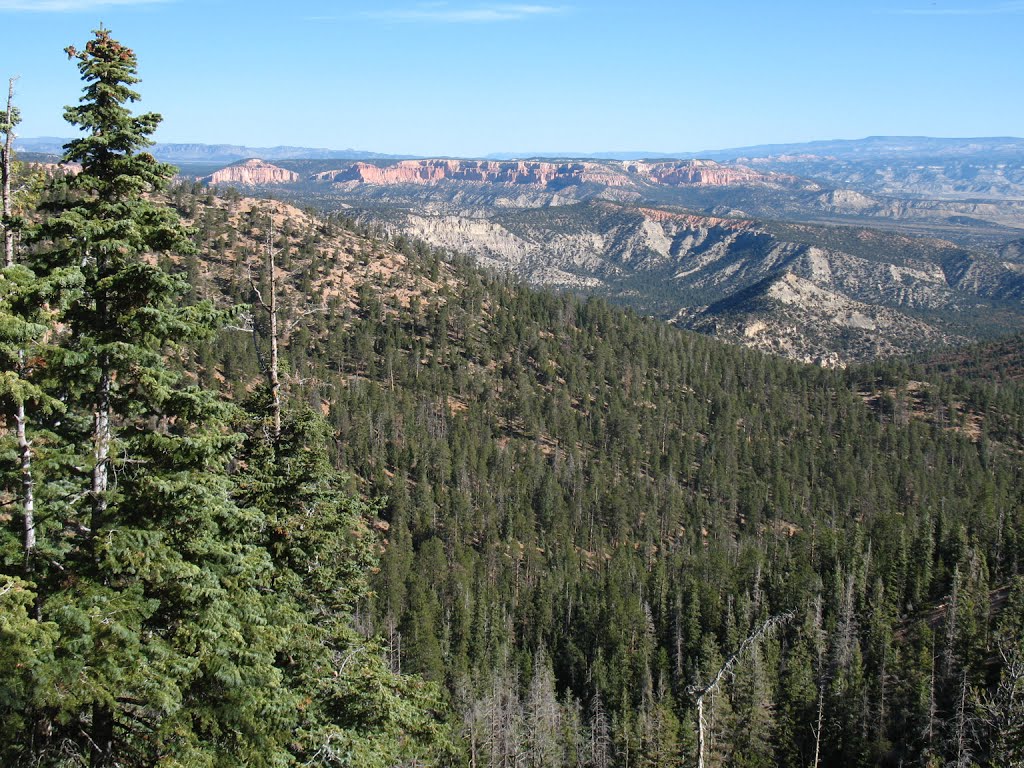 View from the Riggs Spring Loop Trail by matthew.j.kidd