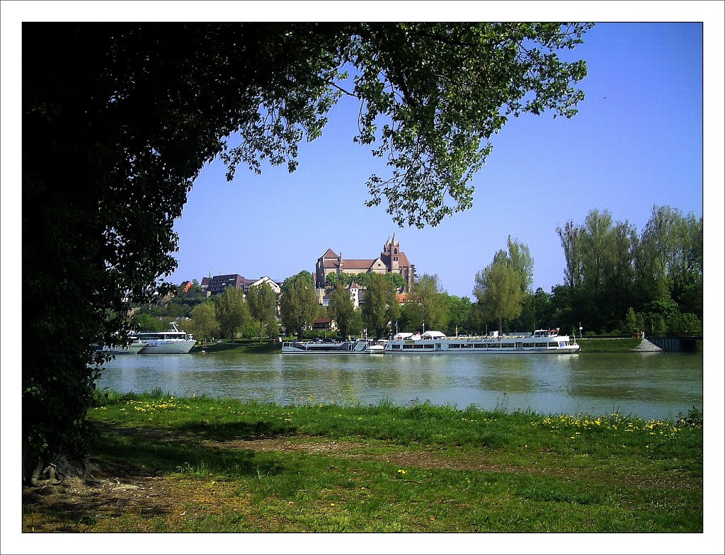 May french border Breisach Kaiserstuhl - Master Habitat Rhine Valley Photography 2013 by jettcom