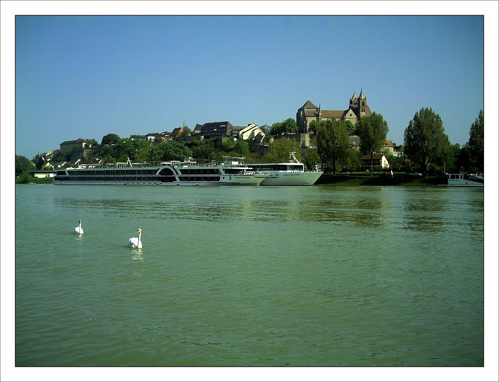 May french border Breisach Kaiserstuhl - Master Habitat Rhine Valley Photography 2013 by jettcom