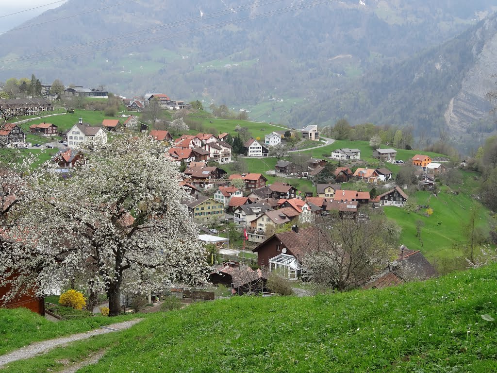 Filzbach im Frühling by schufi58