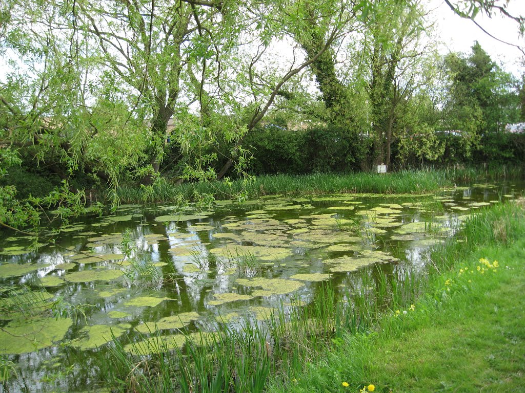 School Pond, Swavesey by GJTournels