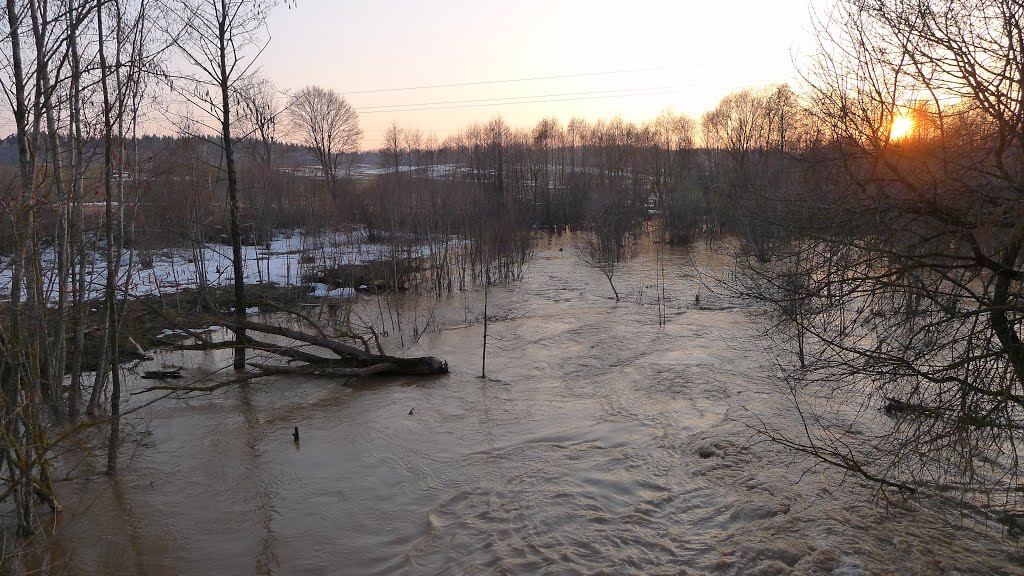 Вясна, паводка. Flood Time. 2013 by zhsv