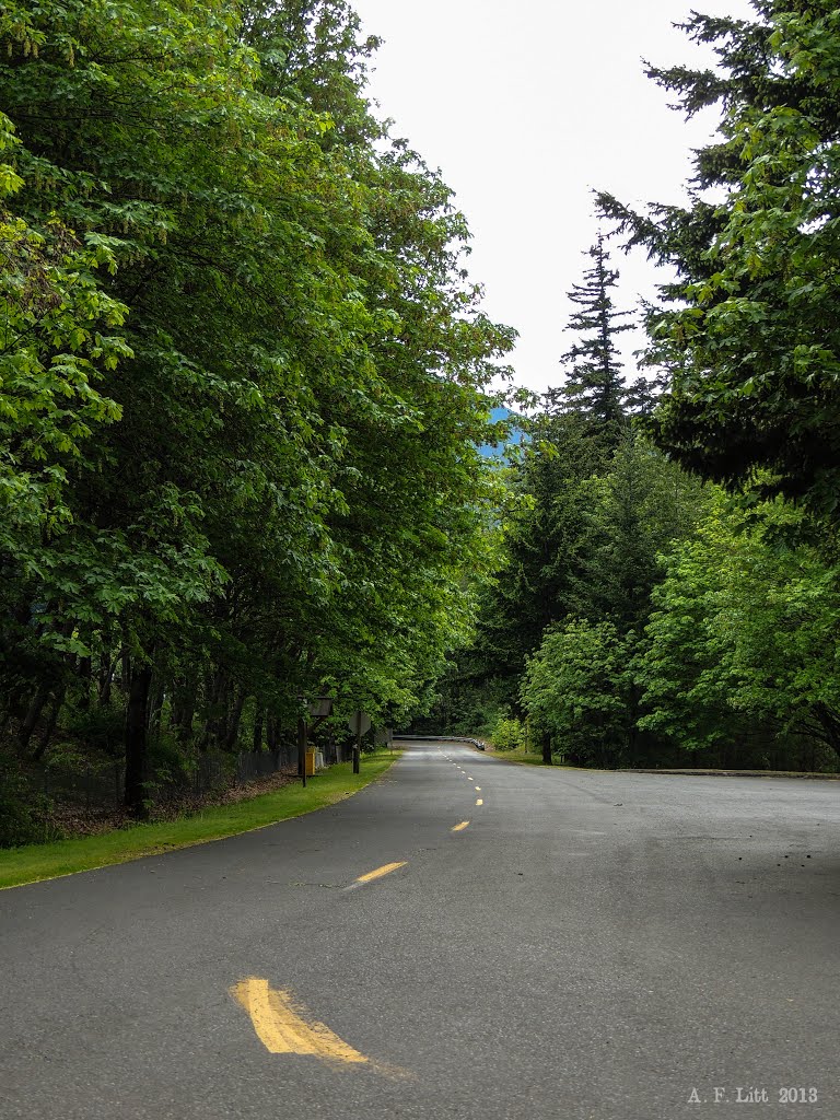 Old HCRH Route Through Viento State Park? (2013) by A. F. Litt