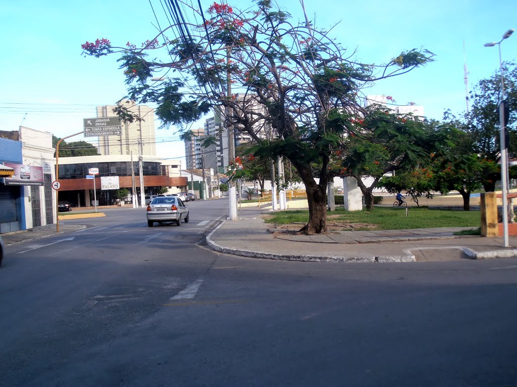 Parque Gonçalves Ledo, Farol, Maceió, Alagoas, Brazil by Alba Alves de Lima