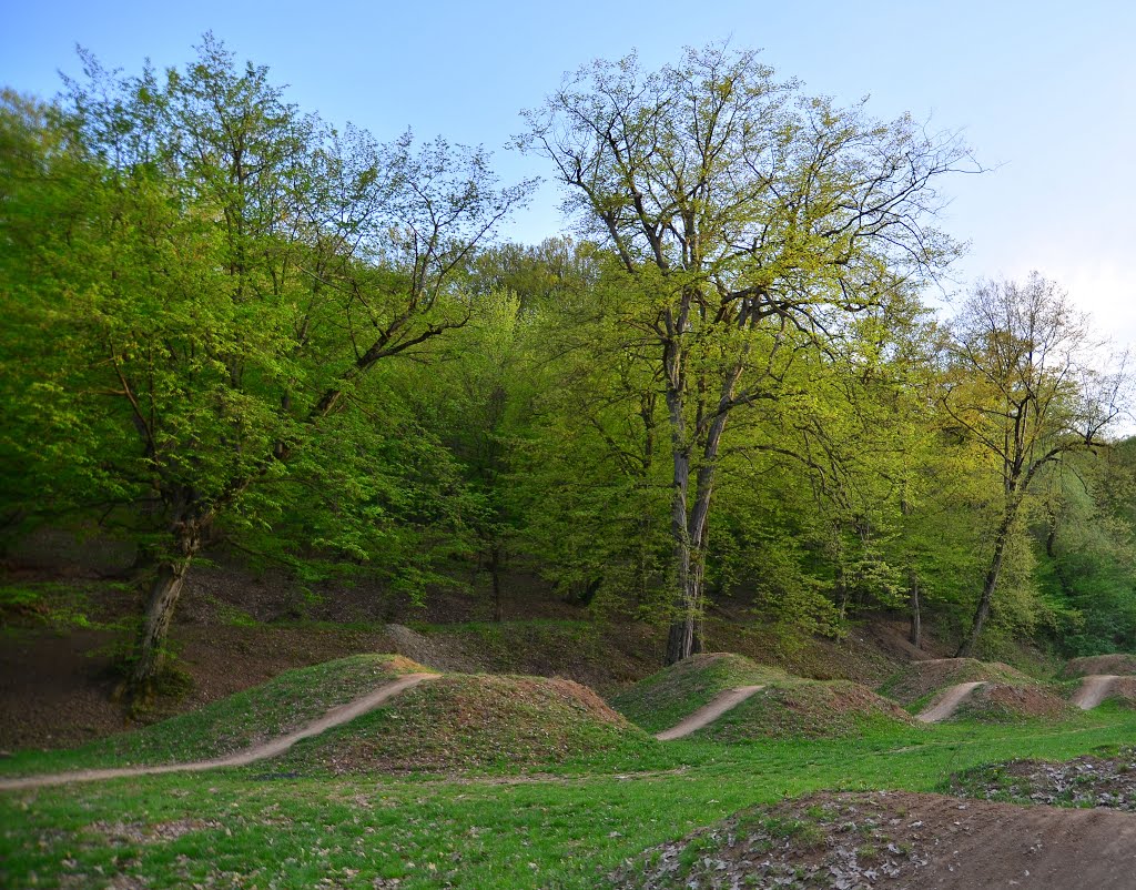 Parc Hoia pentru bikeri by Miclaus George