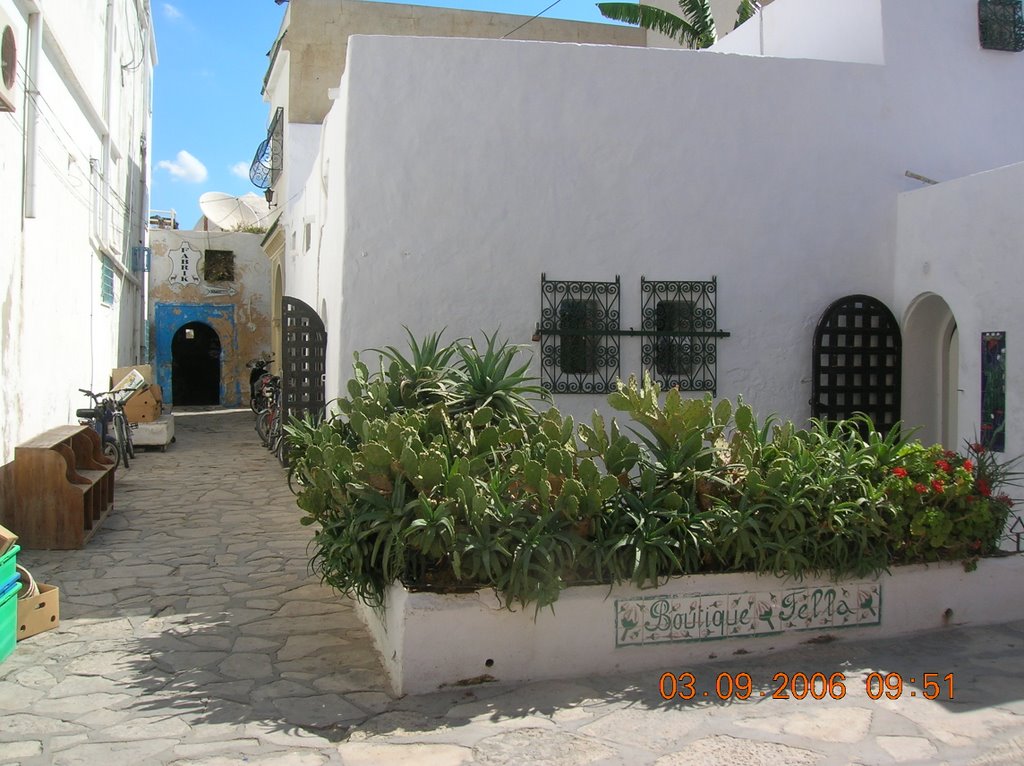 Eastern Hammamet, Hammamet, Tunisia by guy séculier