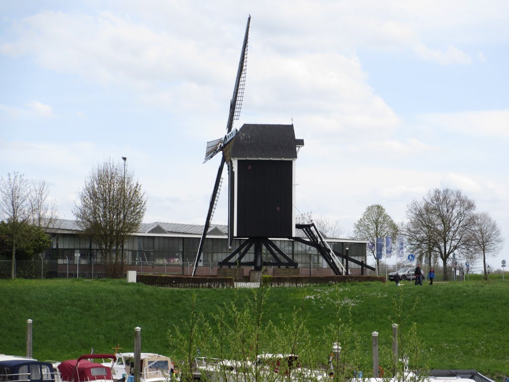 Moulin est à Heusden (Pays-Bas) by plonevez