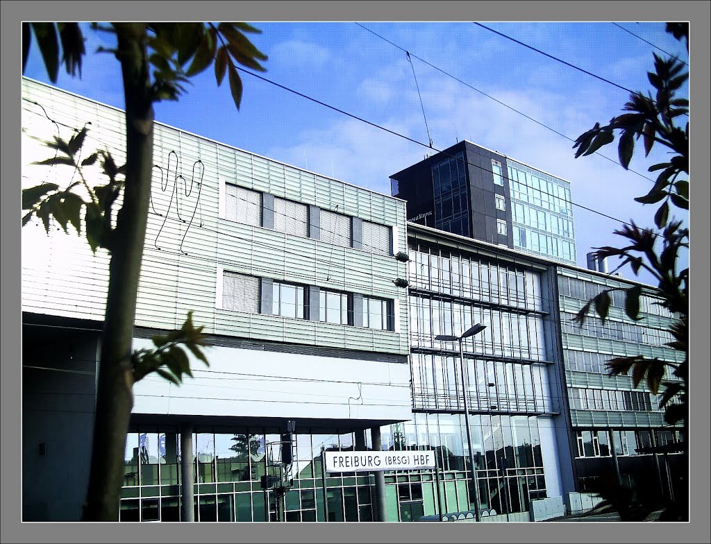 May Freiburg Hbf - Master Habitat Rhine Valley Photography 2013 by pictures Jettcom