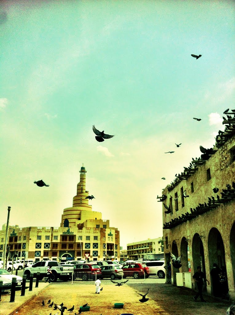 Birds of Souq Waqif by Son of Liberty