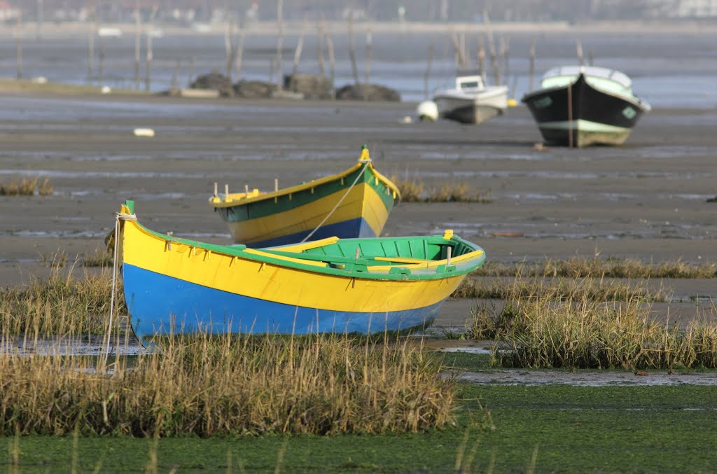 Bassin d'Arcachon by jobaine