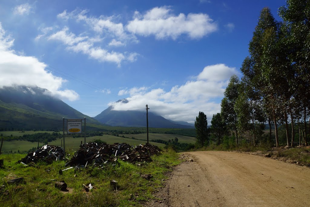 Road towards Assegaibosch. by Andrzej Paczyński