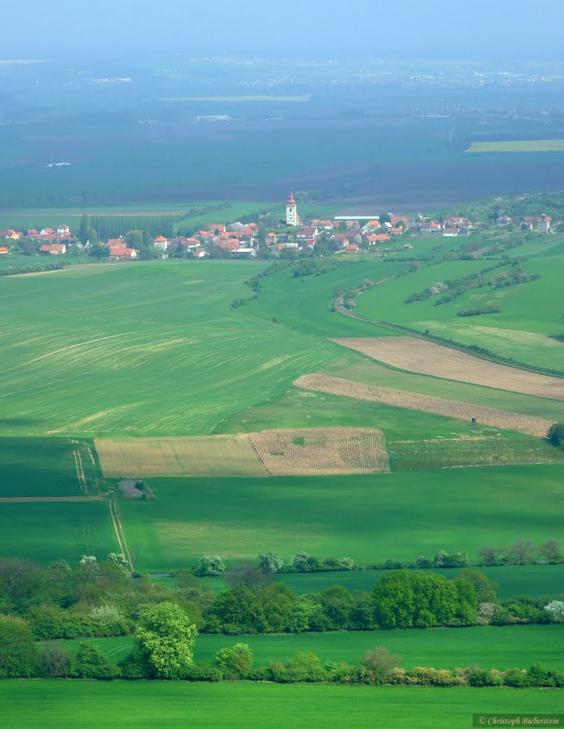 Říp (Georgsberg) - pohled do Kostomlat (Blick auf Kostomlath unterm Georgsberg) by ChristophBieberstein