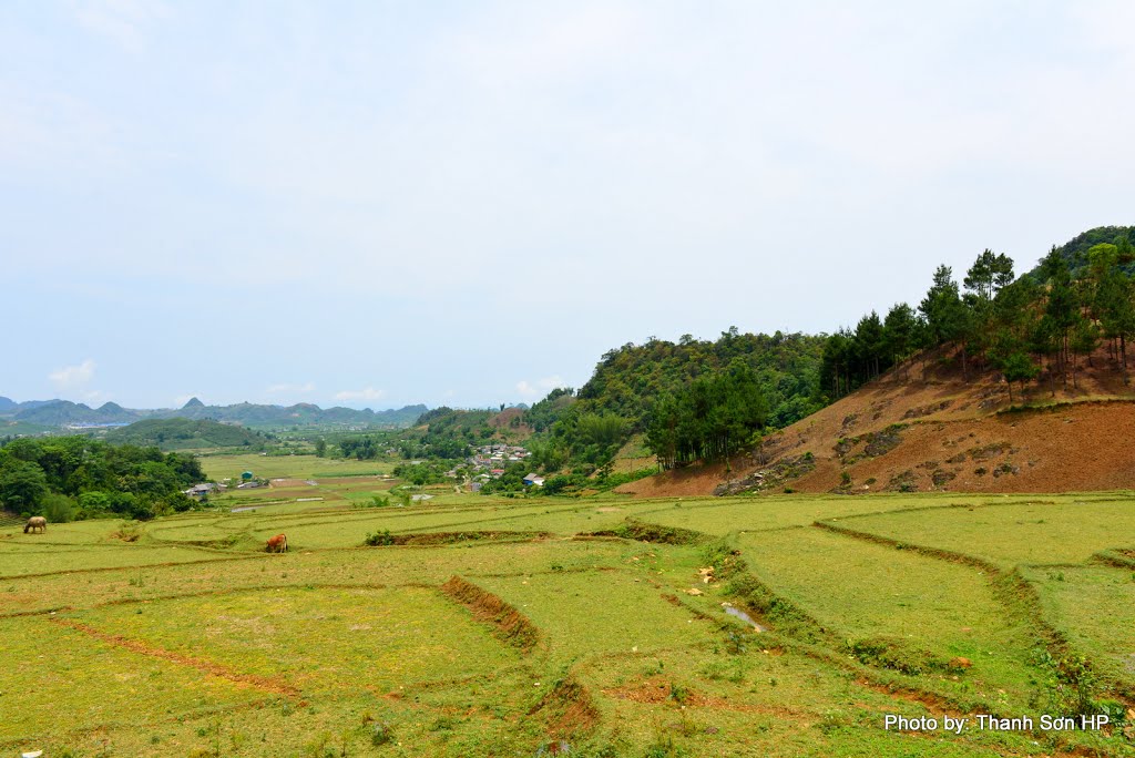 Phong cảnh Mộc Châu, Sơn La by Thanh Sơn HP