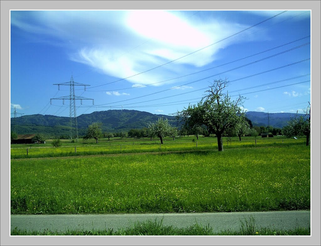 May Selva Negra Llanos Panorama Alemania - Master Landscapes Rhine Valley Photography 2013 Black Rider of the Last Days, Los Angeles Alert Skyfalls ( Die Festung Eden ) by pictures Jettcom