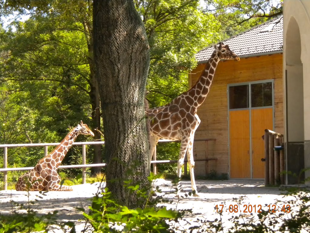 Tierpark Hellabrunn München by vanesaval1