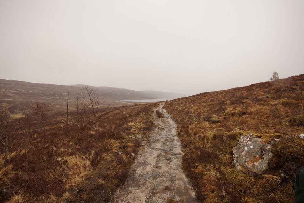 Highland, UK by Robert_Adams