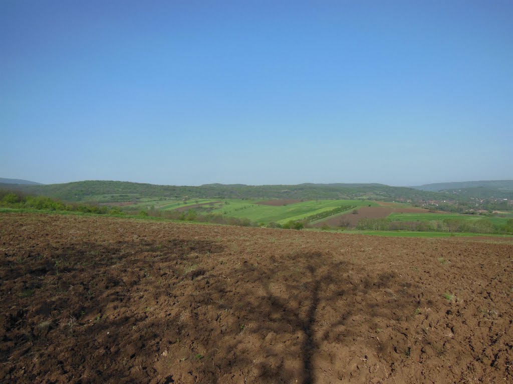 Grlište, Serbia by pavlejt