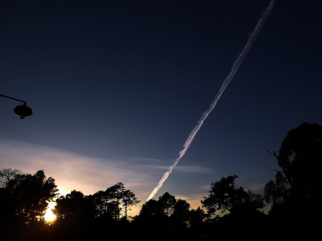 Vuelo en el amanecer - El Pinar - Uruguay by Hugo Diego