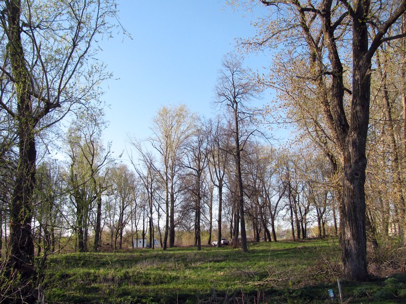 Pervomaysky park of Sapozhok by World Voyager