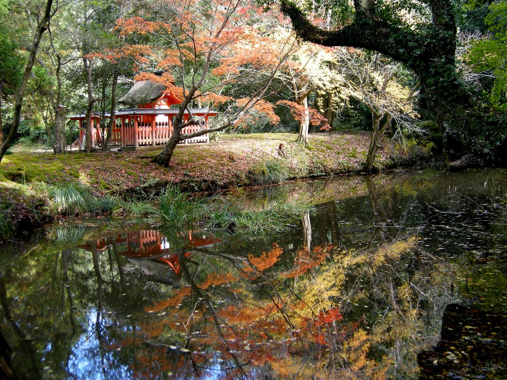 宇佐神宮/菱形池 Usa-jingu Shrine/Hishikata-ike by 田代禎史