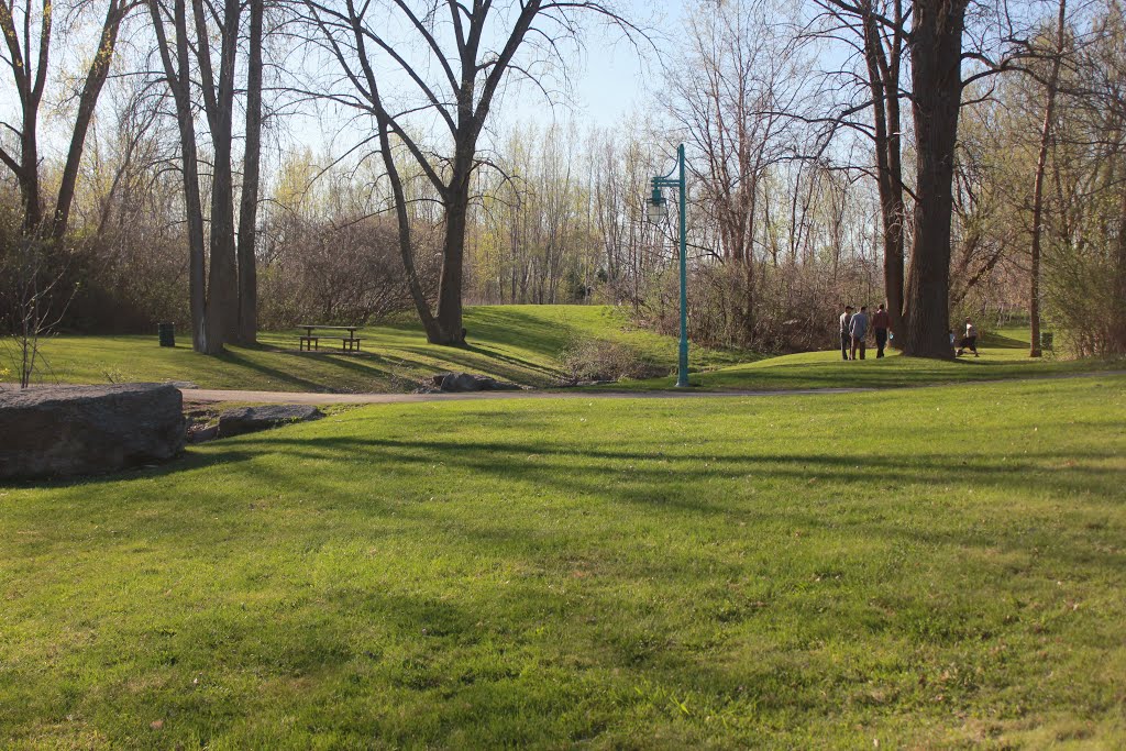 Parc des prairies by Bousemha