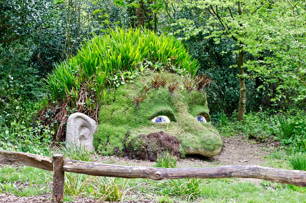 Lost Gardens of Heligan by David Goodman