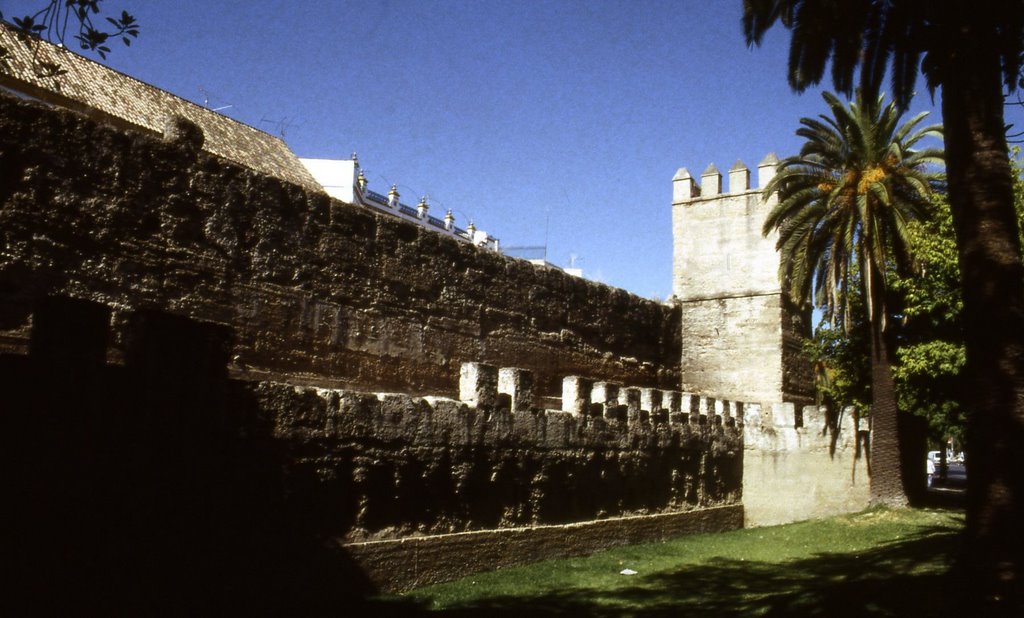 Muralla de la ciudad (1) by Pirracas