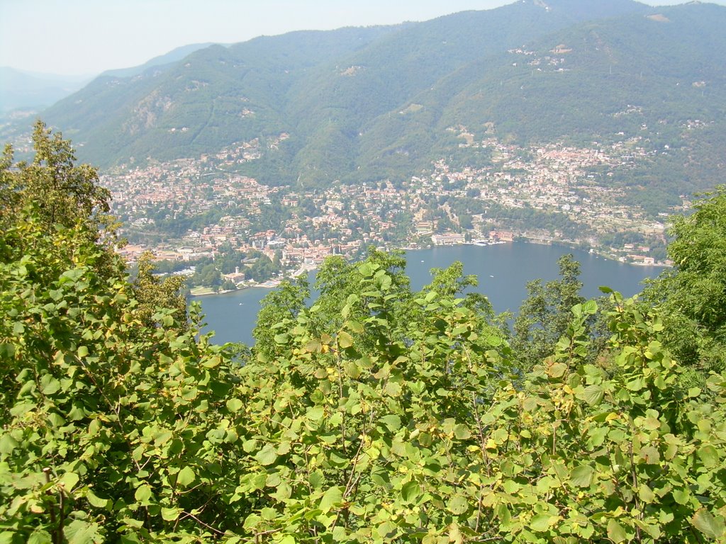 Como- Brunate veduta lago by vitorandone