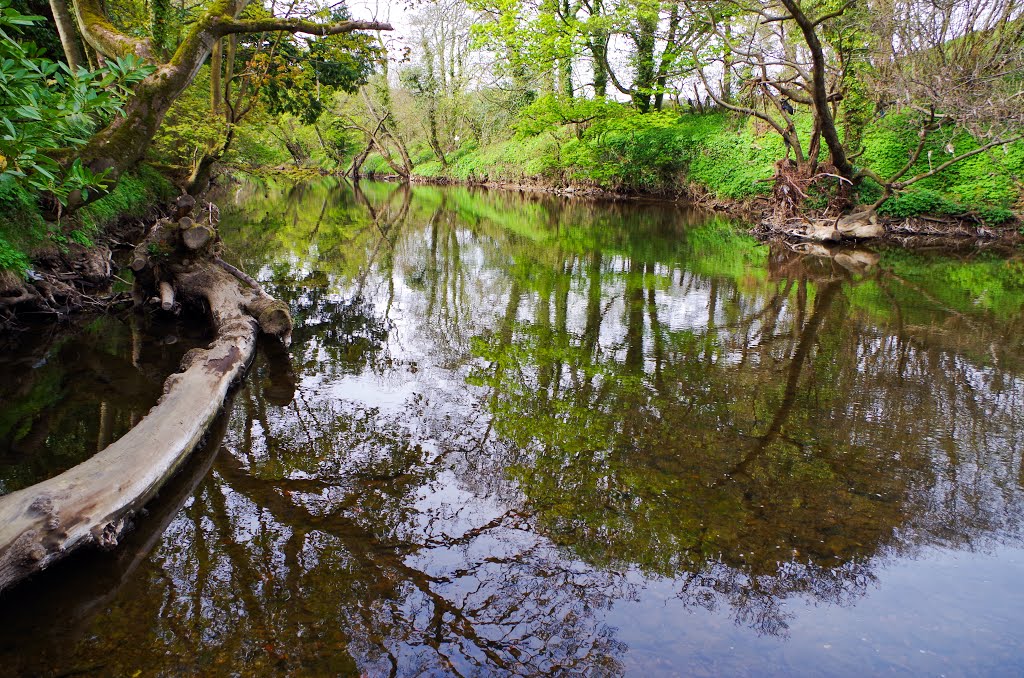 River Wansbeck @ Bothal Village, Northumberland by guide paul