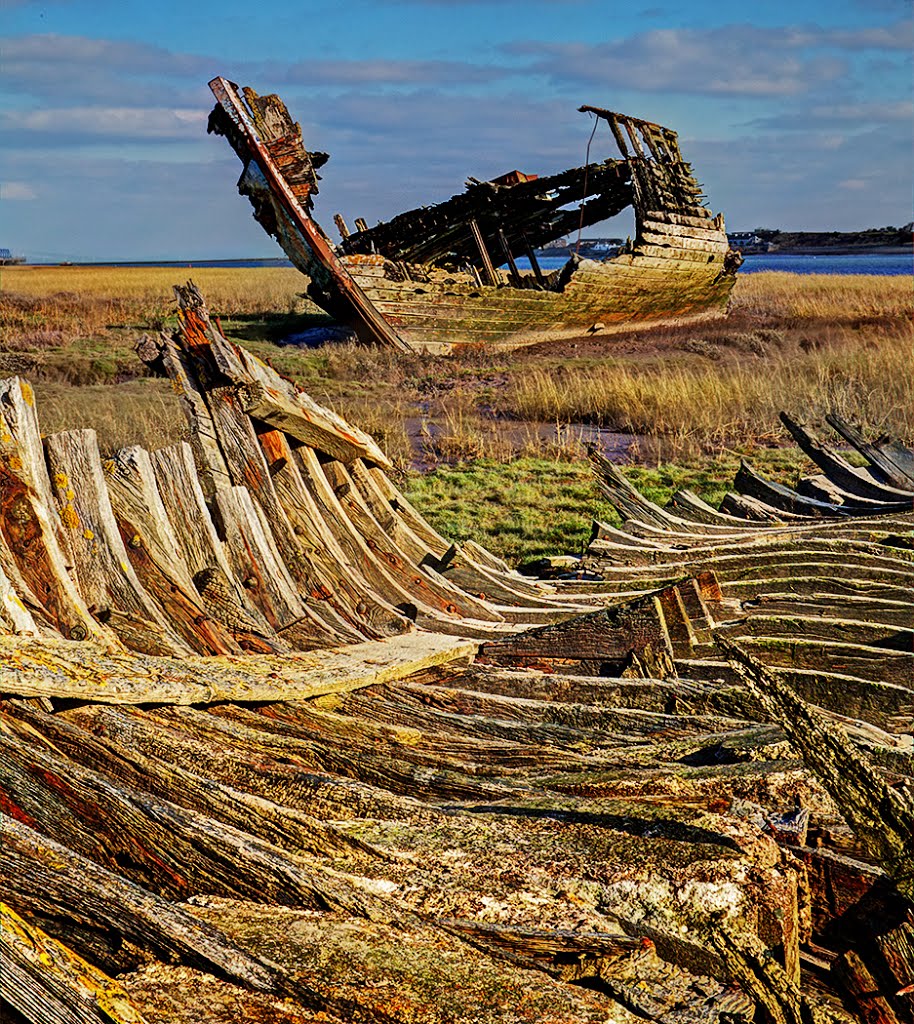 Phases of Decay by David McCulloch