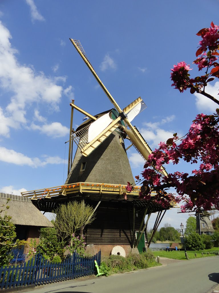 Molen De Vriendschap by Cor2701