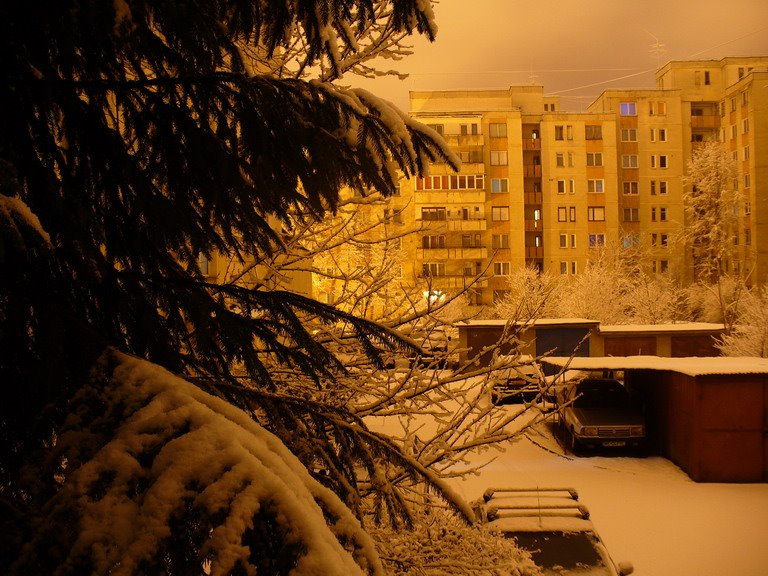 TgMures - hazy winter night on Sarguintei street by jeffwarder