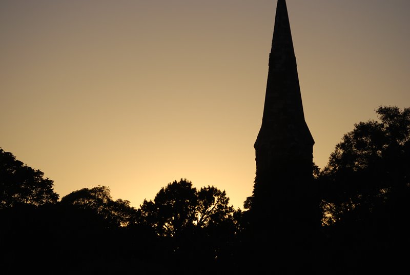 Sunrise at Camperdown Park by Forteetu