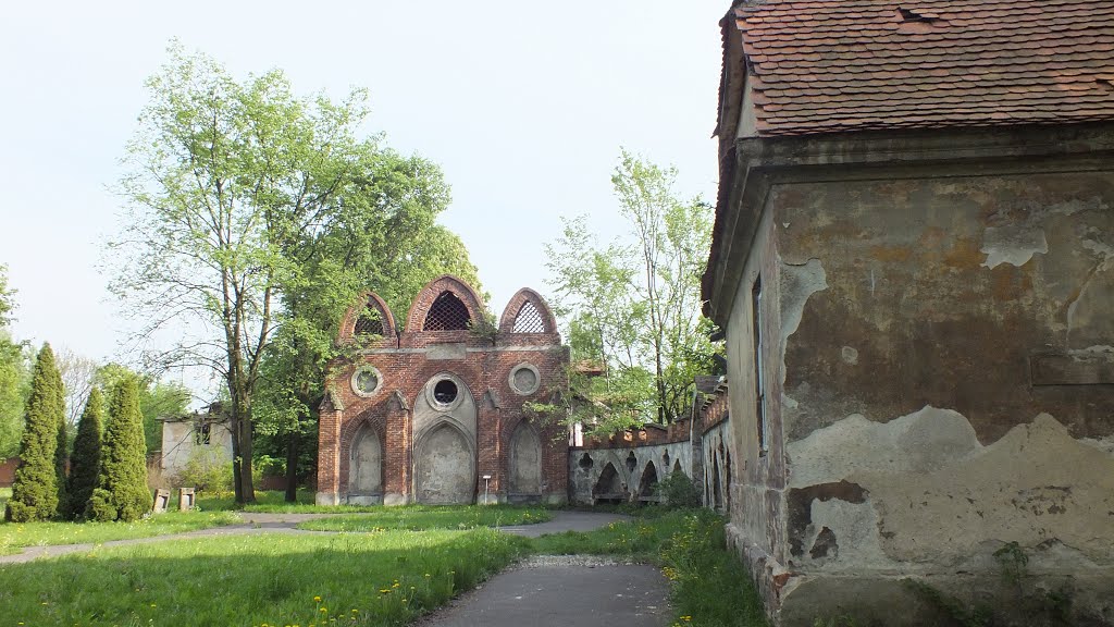 Wilanów Królewski, Warszawa, Poland by Tomasz Słabik