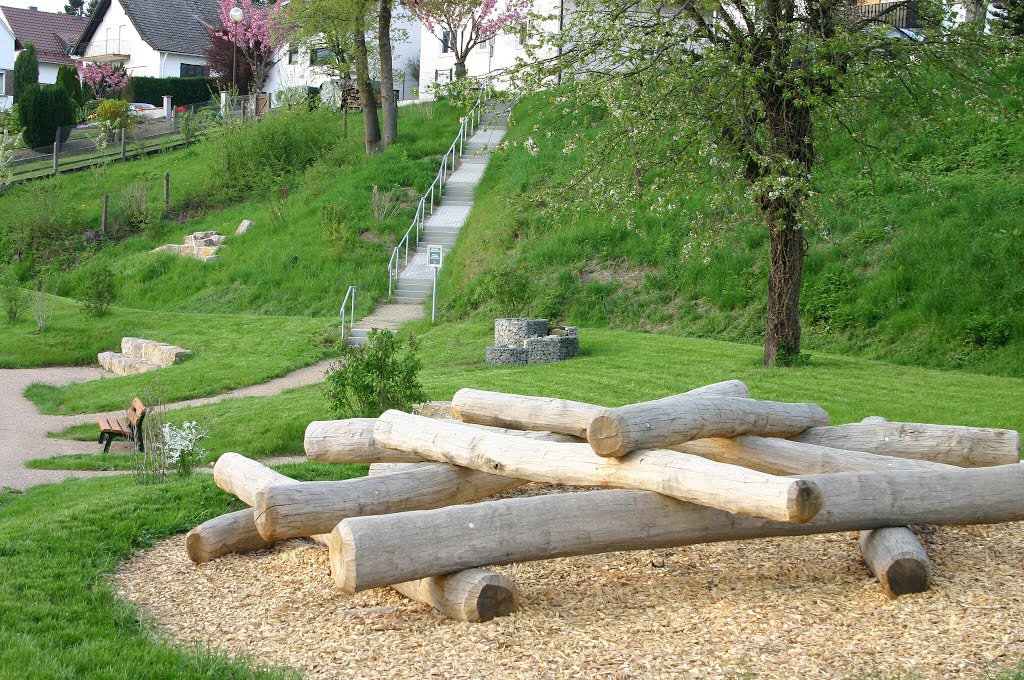 "Mikado" im Freizeitpark "Bleichwiesen", Niederelbert by Dieter Wick