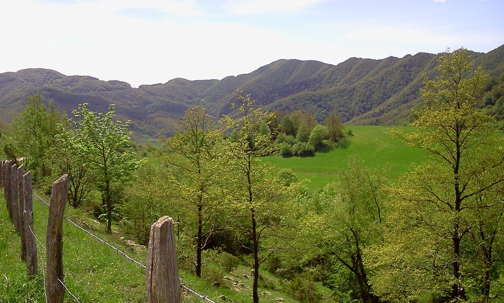 Panorama nei pressi del Rifugio Tre Termini by Giovanni Rapiti