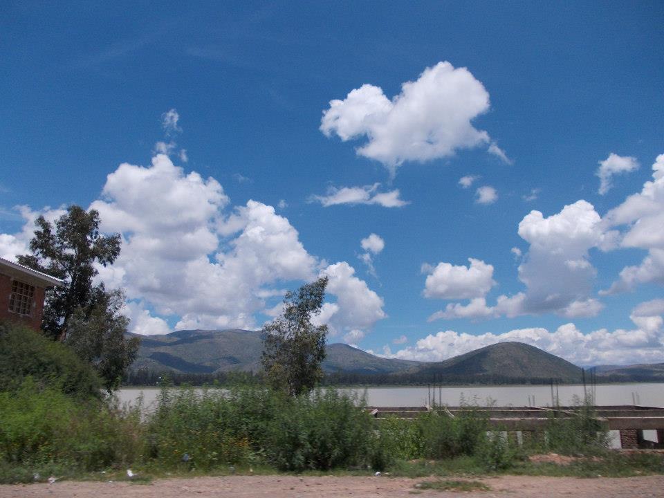 Esteban Arce, Bolivia by Madam Mimi