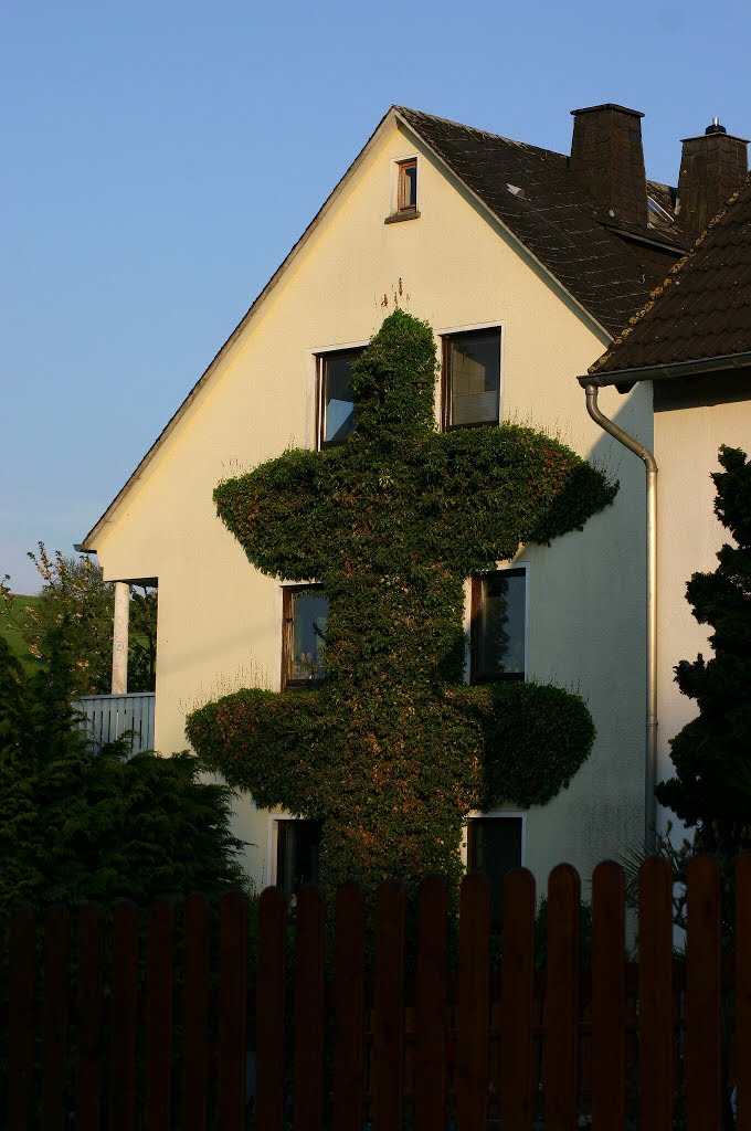 Giebelbegrünung Äußerer Weg/Hauptstraße, Niederelbert by Dieter Wick