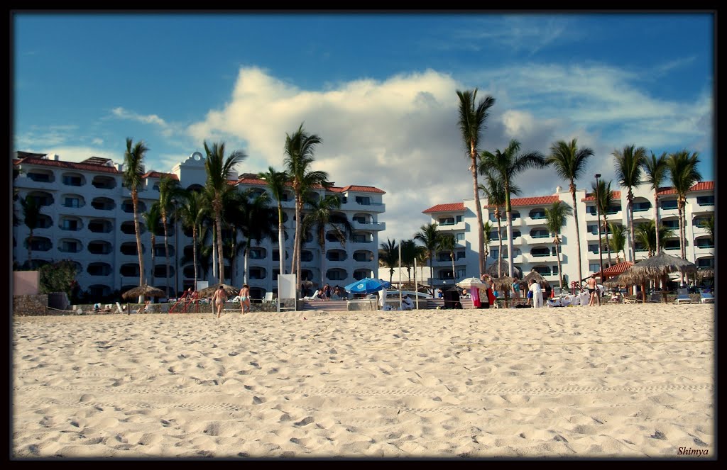 Sandy Beach and Palm Trees by Shimya