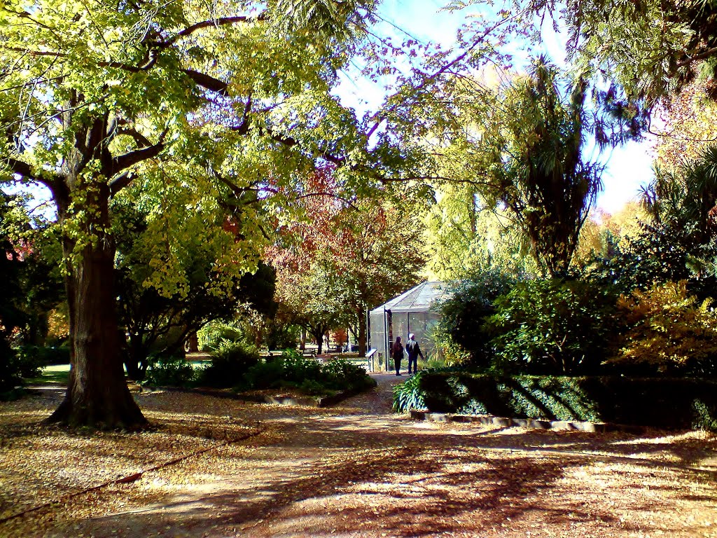 Orange , Cook Park , Autumn colours , near aviary ... by Michael Caine