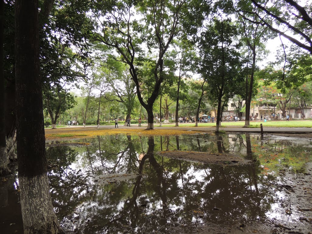 প্রতিবিম্ব, Reflection at Dhaka University by Munabbir Hossain