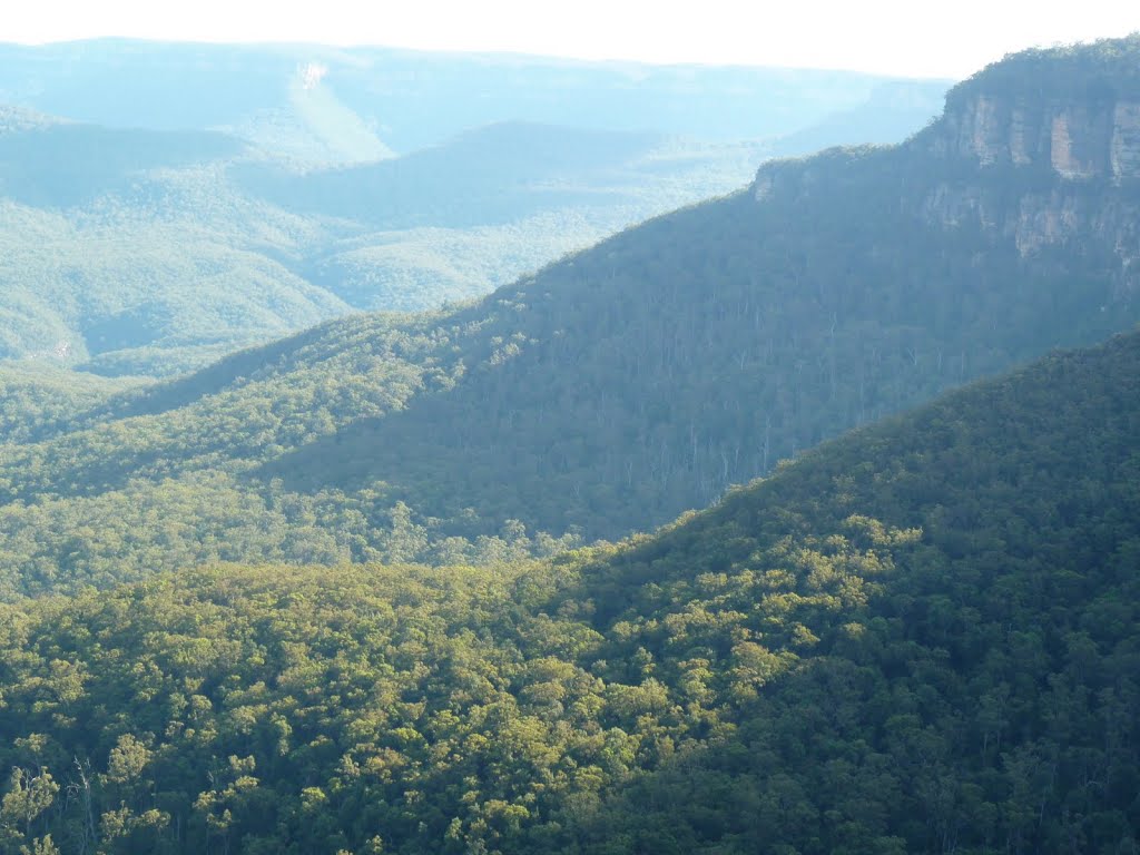 Blue Mountains National Park NSW 2787, Australia by David Oakey