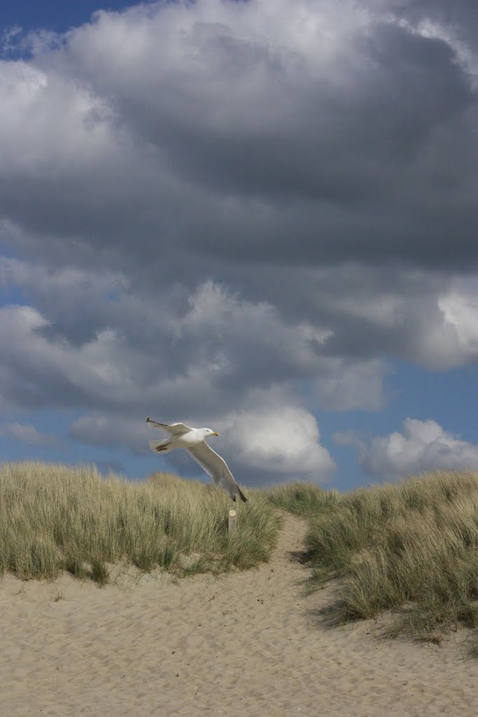 De Haan, Belgium by jordi jacobs