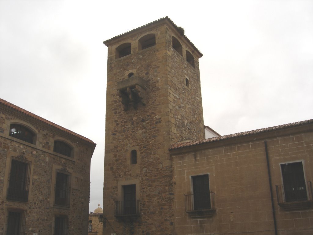 Cáceres, Palacio de los Golfines de Abajo by cesarcriado