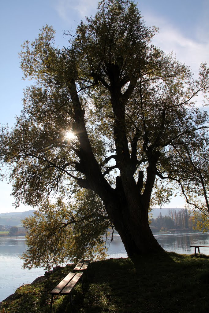 Stein am Rhein by SämyB