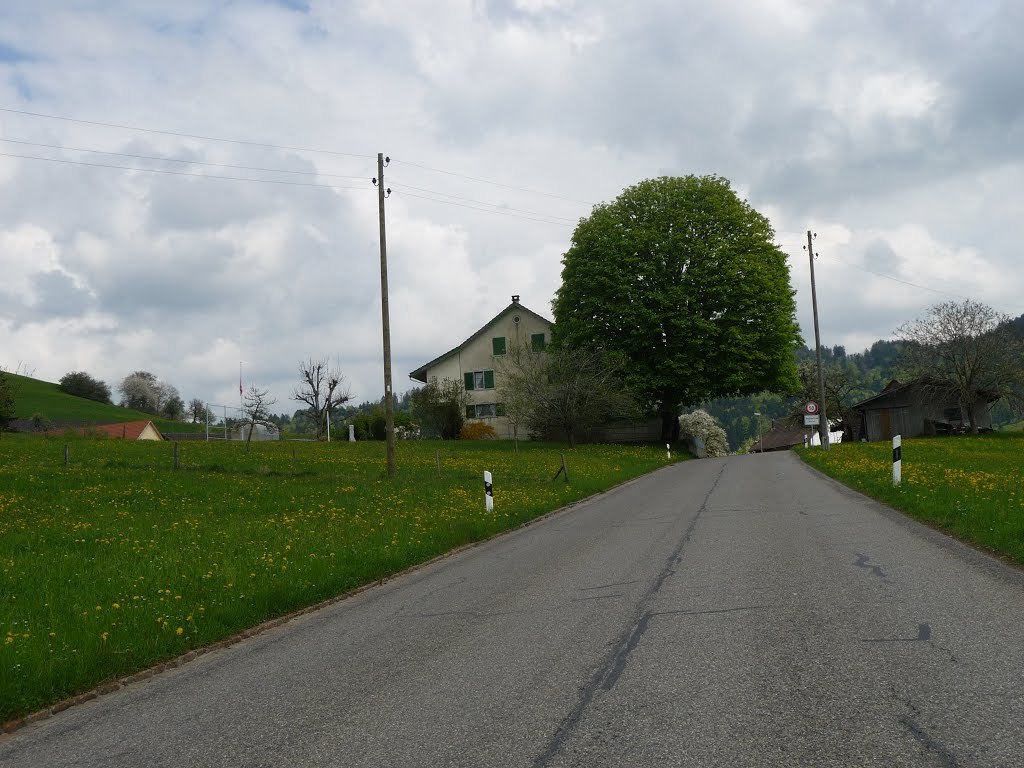 Landstrasse nach Vorder Bettswil by bienenritter