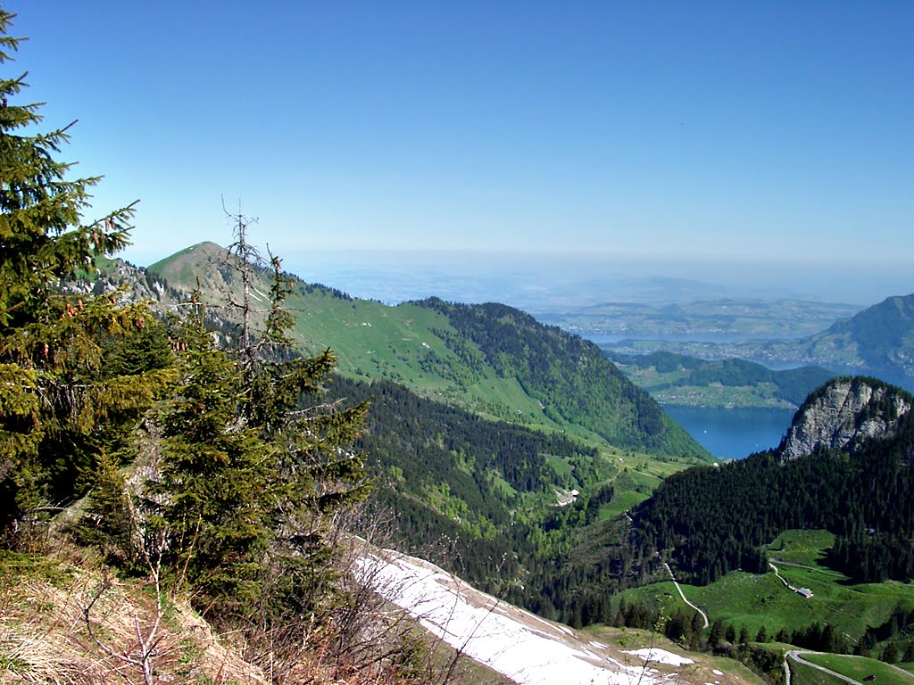 Blick zum Vierwaldstätter See by Uwe Häntsch