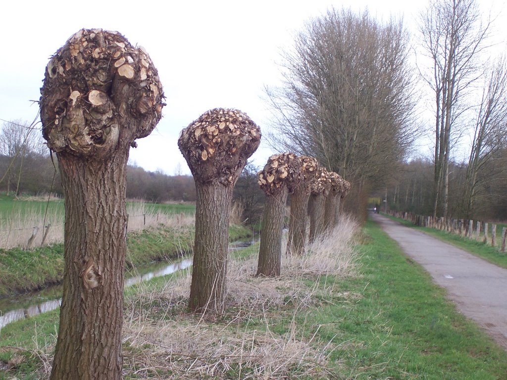 Fuß und Radweg am Auesee in Wesel-Flüren by Ayala-G